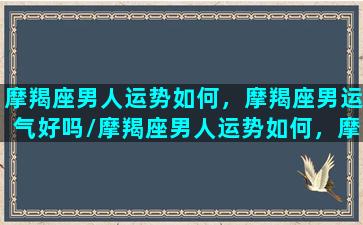 摩羯座男人运势如何，摩羯座男运气好吗/摩羯座男人运势如何，摩羯座男运气好吗-我的网站