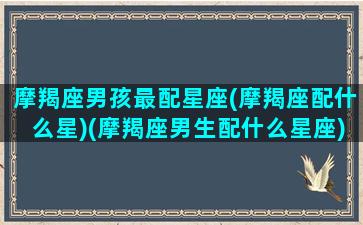 摩羯座男孩最配星座(摩羯座配什么星)(摩羯座男生配什么星座)