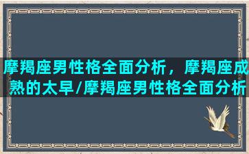 摩羯座男性格全面分析，摩羯座成熟的太早/摩羯座男性格全面分析，摩羯座成熟的太早-我的网站