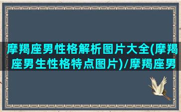 摩羯座男性格解析图片大全(摩羯座男生性格特点图片)/摩羯座男性格解析图片大全(摩羯座男生性格特点图片)-我的网站