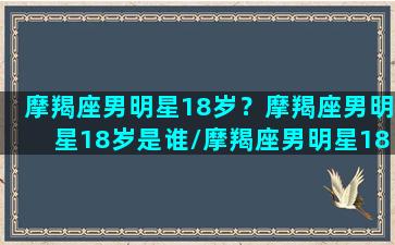 摩羯座男明星18岁？摩羯座男明星18岁是谁/摩羯座男明星18岁？摩羯座男明星18岁是谁-我的网站