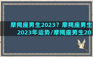 摩羯座男生2023？摩羯座男生2023年运势/摩羯座男生2023？摩羯座男生2023年运势-我的网站