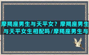 摩羯座男生与天平女？摩羯座男生与天平女生相配吗/摩羯座男生与天平女？摩羯座男生与天平女生相配吗-我的网站