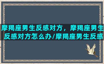 摩羯座男生反感对方，摩羯座男生反感对方怎么办/摩羯座男生反感对方，摩羯座男生反感对方怎么办-我的网站