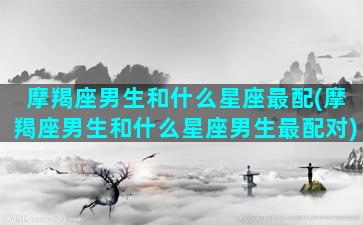 摩羯座男生和什么星座最配(摩羯座男生和什么星座男生最配对)