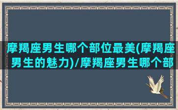 摩羯座男生哪个部位最美(摩羯座男生的魅力)/摩羯座男生哪个部位最美(摩羯座男生的魅力)-我的网站