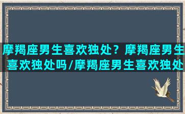 摩羯座男生喜欢独处？摩羯座男生喜欢独处吗/摩羯座男生喜欢独处？摩羯座男生喜欢独处吗-我的网站