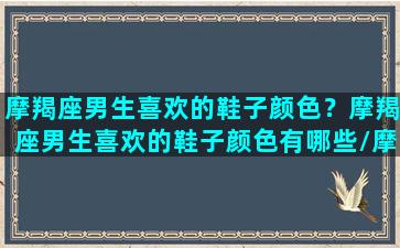 摩羯座男生喜欢的鞋子颜色？摩羯座男生喜欢的鞋子颜色有哪些/摩羯座男生喜欢的鞋子颜色？摩羯座男生喜欢的鞋子颜色有哪些-我的网站