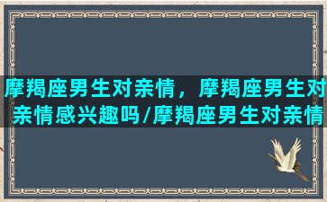 摩羯座男生对亲情，摩羯座男生对亲情感兴趣吗/摩羯座男生对亲情，摩羯座男生对亲情感兴趣吗-我的网站