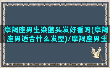 摩羯座男生染蓝头发好看吗(摩羯座男适合什么发型)/摩羯座男生染蓝头发好看吗(摩羯座男适合什么发型)-我的网站