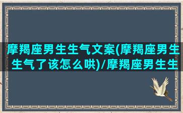 摩羯座男生生气文案(摩羯座男生生气了该怎么哄)/摩羯座男生生气文案(摩羯座男生生气了该怎么哄)-我的网站