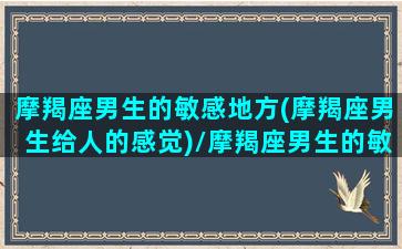 摩羯座男生的敏感地方(摩羯座男生给人的感觉)/摩羯座男生的敏感地方(摩羯座男生给人的感觉)-我的网站