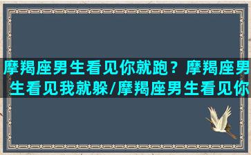 摩羯座男生看见你就跑？摩羯座男生看见我就躲/摩羯座男生看见你就跑？摩羯座男生看见我就躲-我的网站