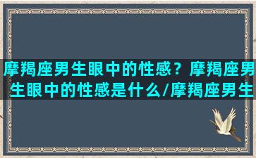 摩羯座男生眼中的性感？摩羯座男生眼中的性感是什么/摩羯座男生眼中的性感？摩羯座男生眼中的性感是什么-我的网站