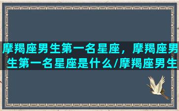 摩羯座男生第一名星座，摩羯座男生第一名星座是什么/摩羯座男生第一名星座，摩羯座男生第一名星座是什么-我的网站