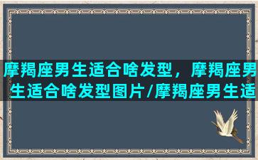 摩羯座男生适合啥发型，摩羯座男生适合啥发型图片/摩羯座男生适合啥发型，摩羯座男生适合啥发型图片-我的网站