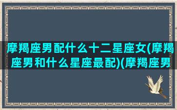 摩羯座男配什么十二星座女(摩羯座男和什么星座最配)(摩羯座男与什么星座女最配)