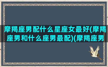 摩羯座男配什么星座女最好(摩羯座男和什么座男最配)(摩羯座男和什么星座女最合适)