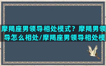 摩羯座男领导相处模式？摩羯男领导怎么相处/摩羯座男领导相处模式？摩羯男领导怎么相处-我的网站