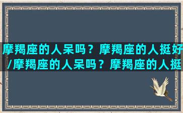 摩羯座的人呆吗？摩羯座的人挺好/摩羯座的人呆吗？摩羯座的人挺好-我的网站