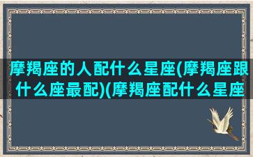 摩羯座的人配什么星座(摩羯座跟什么座最配)(摩羯座配什么星座最好)