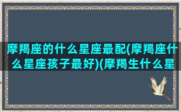 摩羯座的什么星座最配(摩羯座什么星座孩子最好)(摩羯生什么星座孩子最好)