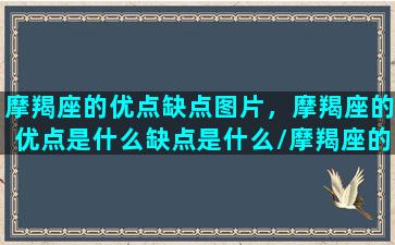 摩羯座的优点缺点图片，摩羯座的优点是什么缺点是什么/摩羯座的优点缺点图片，摩羯座的优点是什么缺点是什么-我的网站