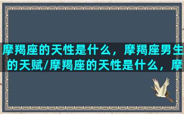 摩羯座的天性是什么，摩羯座男生的天赋/摩羯座的天性是什么，摩羯座男生的天赋-我的网站