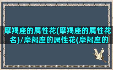 摩羯座的属性花(摩羯座的属性花名)/摩羯座的属性花(摩羯座的属性花名)-我的网站