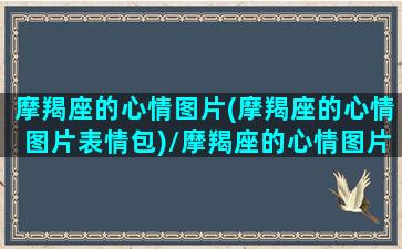 摩羯座的心情图片(摩羯座的心情图片表情包)/摩羯座的心情图片(摩羯座的心情图片表情包)-我的网站