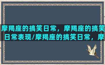 摩羯座的搞笑日常，摩羯座的搞笑日常表现/摩羯座的搞笑日常，摩羯座的搞笑日常表现-我的网站