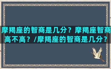 摩羯座的智商是几分？摩羯座智商高不高？/摩羯座的智商是几分？摩羯座智商高不高？-我的网站