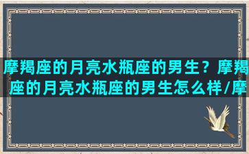 摩羯座的月亮水瓶座的男生？摩羯座的月亮水瓶座的男生怎么样/摩羯座的月亮水瓶座的男生？摩羯座的月亮水瓶座的男生怎么样-我的网站