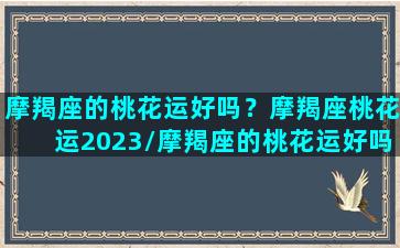 摩羯座的桃花运好吗？摩羯座桃花运2023/摩羯座的桃花运好吗？摩羯座桃花运2023-我的网站