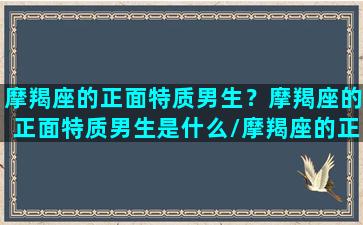 摩羯座的正面特质男生？摩羯座的正面特质男生是什么/摩羯座的正面特质男生？摩羯座的正面特质男生是什么-我的网站