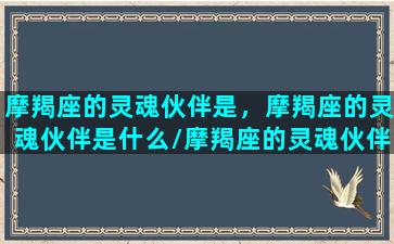 摩羯座的灵魂伙伴是，摩羯座的灵魂伙伴是什么/摩羯座的灵魂伙伴是，摩羯座的灵魂伙伴是什么-我的网站