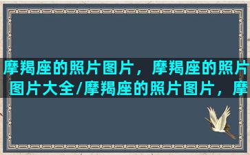 摩羯座的照片图片，摩羯座的照片图片大全/摩羯座的照片图片，摩羯座的照片图片大全-我的网站