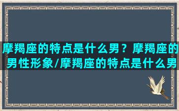 摩羯座的特点是什么男？摩羯座的男性形象/摩羯座的特点是什么男？摩羯座的男性形象-我的网站