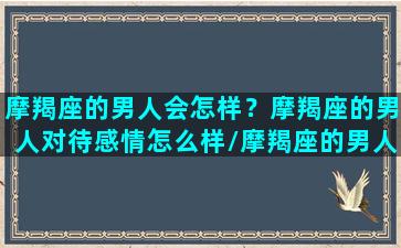 摩羯座的男人会怎样？摩羯座的男人对待感情怎么样/摩羯座的男人会怎样？摩羯座的男人对待感情怎么样-我的网站