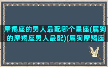 摩羯座的男人最配哪个星座(属狗的摩羯座男人最配)(属狗摩羯座男爱老婆吗)