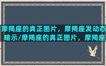 摩羯座的真正图片，摩羯座发动态暗示/摩羯座的真正图片，摩羯座发动态暗示-我的网站