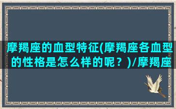 摩羯座的血型特征(摩羯座各血型的性格是怎么样的呢？)/摩羯座的血型特征(摩羯座各血型的性格是怎么样的呢？)-我的网站