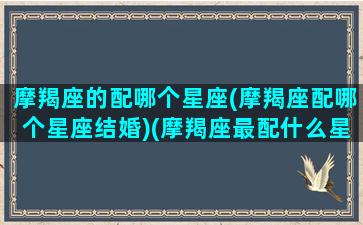 摩羯座的配哪个星座(摩羯座配哪个星座结婚)(摩羯座最配什么星座结婚)