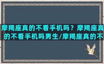 摩羯座真的不看手机吗？摩羯座真的不看手机吗男生/摩羯座真的不看手机吗？摩羯座真的不看手机吗男生-我的网站