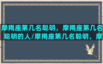 摩羯座第几名聪明，摩羯座第几名聪明的人/摩羯座第几名聪明，摩羯座第几名聪明的人-我的网站