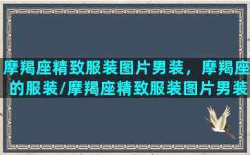 摩羯座精致服装图片男装，摩羯座的服装/摩羯座精致服装图片男装，摩羯座的服装-我的网站