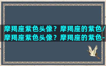 摩羯座紫色头像？摩羯座的紫色/摩羯座紫色头像？摩羯座的紫色-我的网站