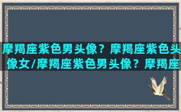 摩羯座紫色男头像？摩羯座紫色头像女/摩羯座紫色男头像？摩羯座紫色头像女-我的网站