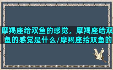 摩羯座给双鱼的感觉，摩羯座给双鱼的感觉是什么/摩羯座给双鱼的感觉，摩羯座给双鱼的感觉是什么-我的网站