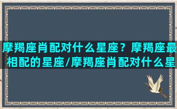 摩羯座肖配对什么星座？摩羯座最相配的星座/摩羯座肖配对什么星座？摩羯座最相配的星座-我的网站